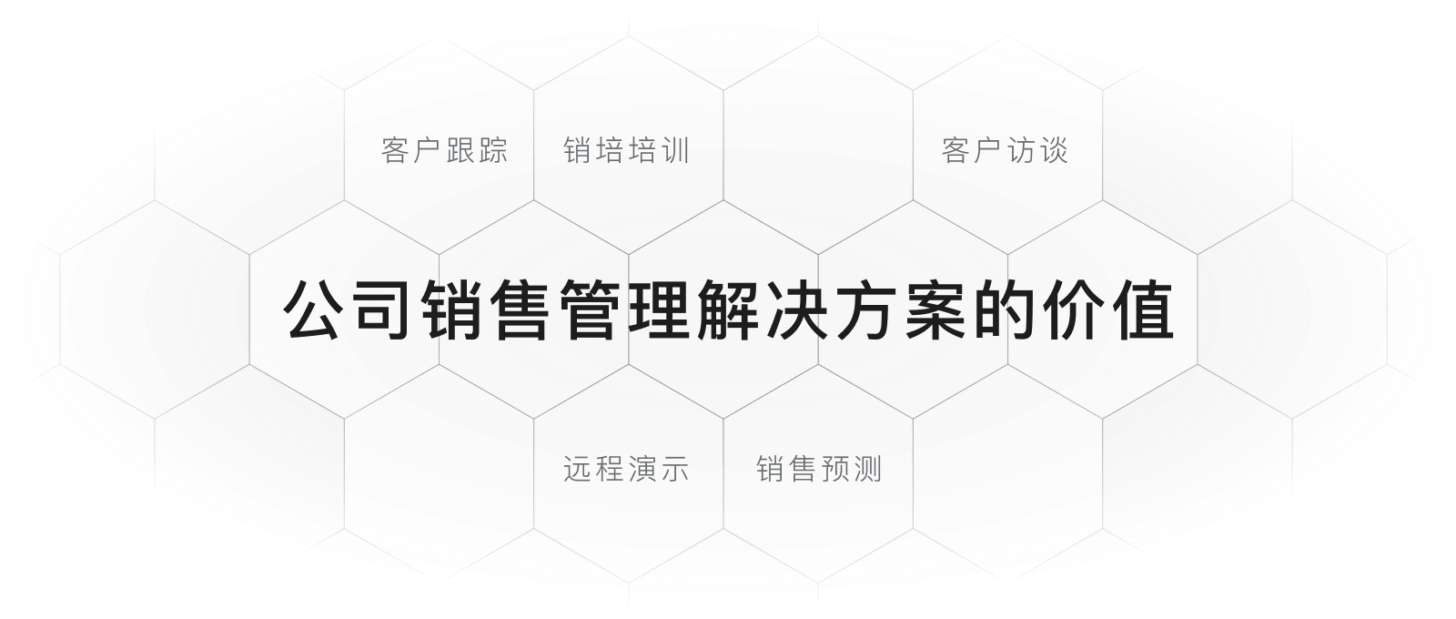 公司销售管理挑战补充说明